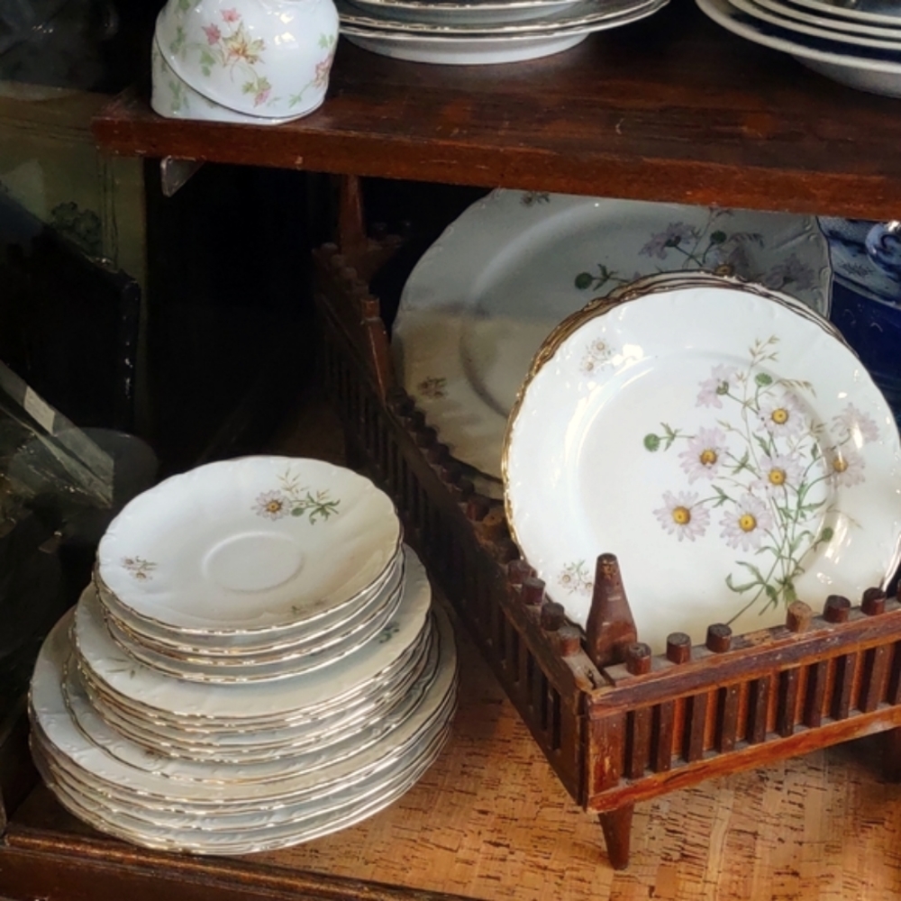 Bohemian Fine China super vintage Daisy print from Czech Slovakia